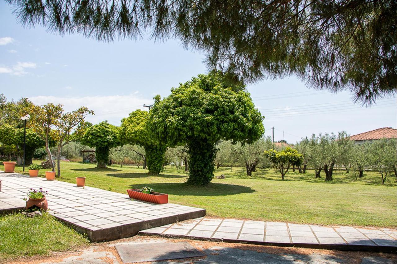 Olivemare Holidays Néa Iráklia Kültér fotó